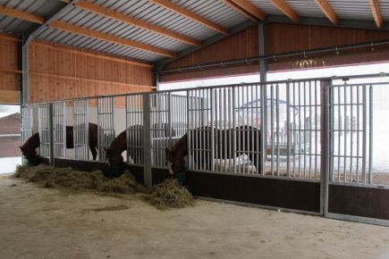 Façade de stabulation libre-service pour chevaux à barreaux renforcés