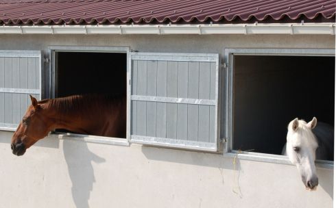 Volets et fenêtres pour boxes chevaux